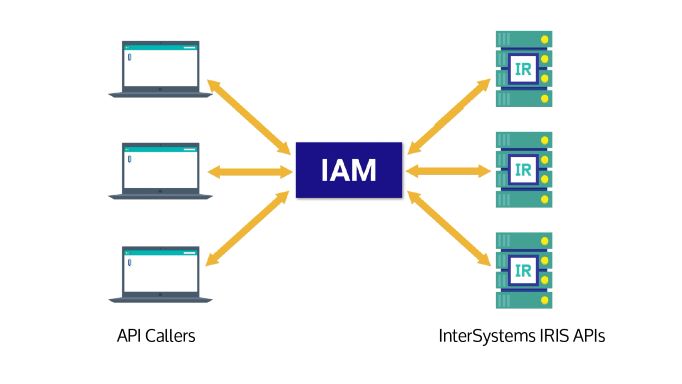 generated description: apimgr description.jpg