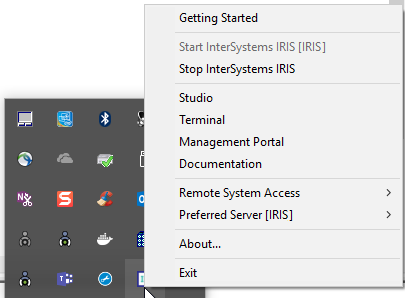 Management menu showing options such as Start or Stop InterSystems IRIS, Studio, Terminal, Management Portal, Documentation.