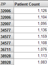 Pivot table with a row for ZIP Code 32006 with a Patient Count of 1,126 and a row for ZIP Code 32006 with a count of 1,104.