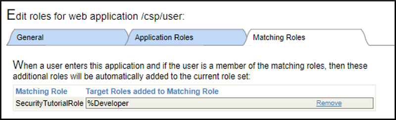 %Developer is the Target Role added to Matching Role on the Matching Roles tab