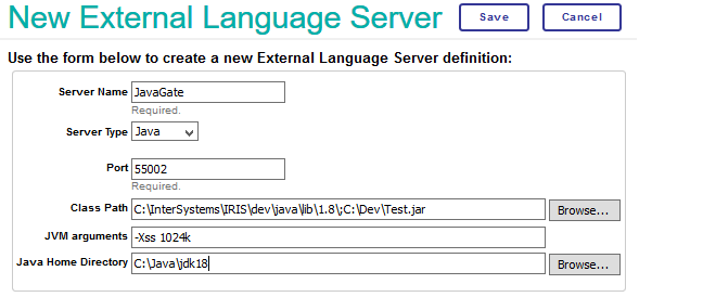New External Server page (showing Java fields described below)