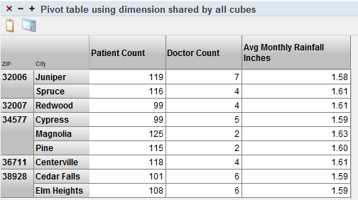 A pivot table with ZIP Code/City pairs in the rows and columns for Patient Count, Doctor Count, and Avg Monthly Rainfall.