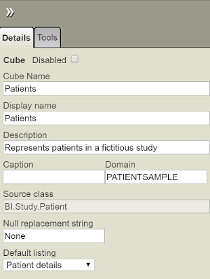 The right panel of the screen, showing the Details tab open an element with display name Patients in the Patients cube.