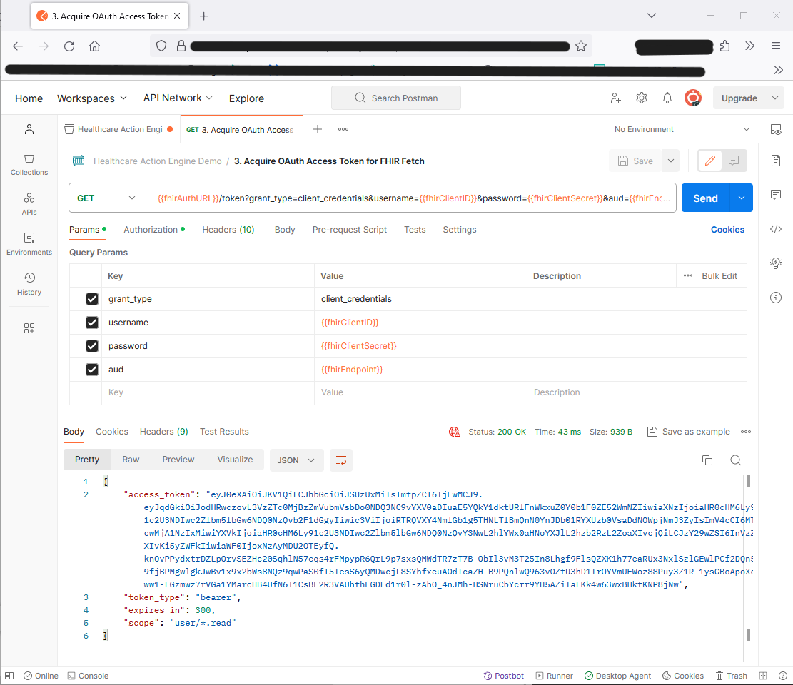 Response to FHIR token request in Postman