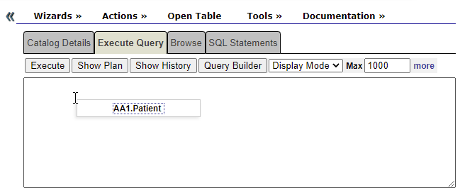 A user drags the patient schema into the execute query tool in the management portal