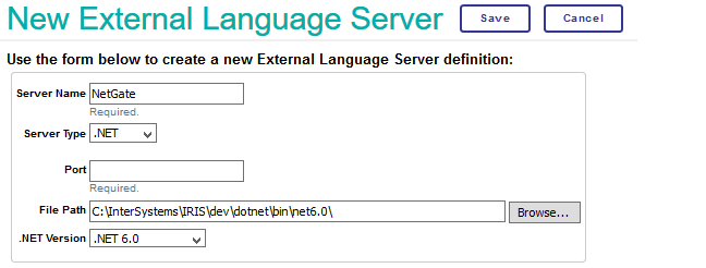 New External Server page (showing .NET fields described below)