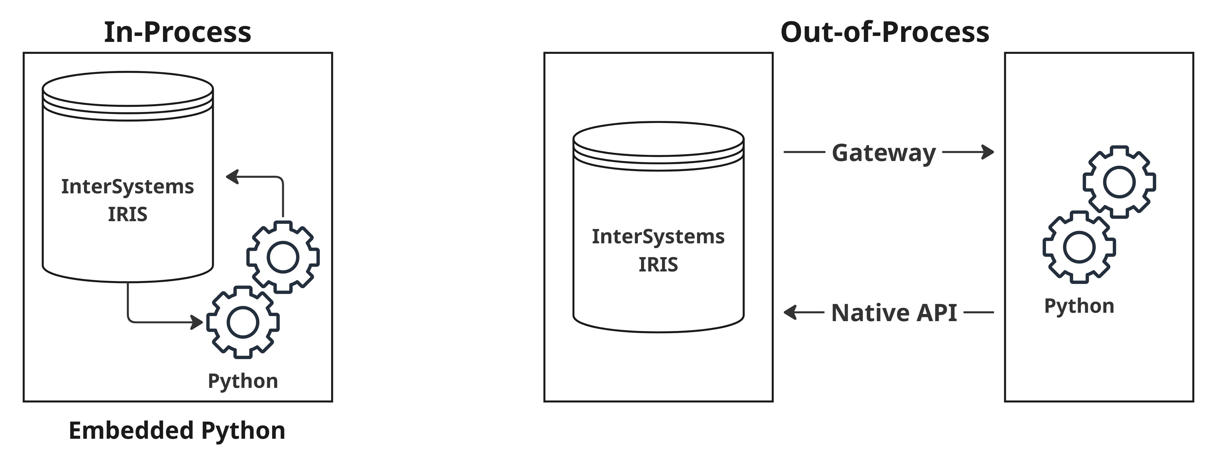 Embedded Python differentiates itself from other Python run methods in that it runs alongside the InterSystems IRIS process