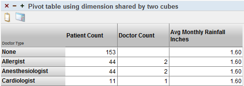 行に Doctor Type、列に Patient Count、Doctor Count、および Avg Monthly Rainfall が含まれるピボット・テーブル。