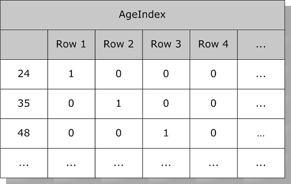 ビットマップ・ブーリアン・テーブル ： Age (値 24、35、48) 別の行、RowID 別の列。RowID が Age 値を持つ場合は 1。持たない場合は 0。