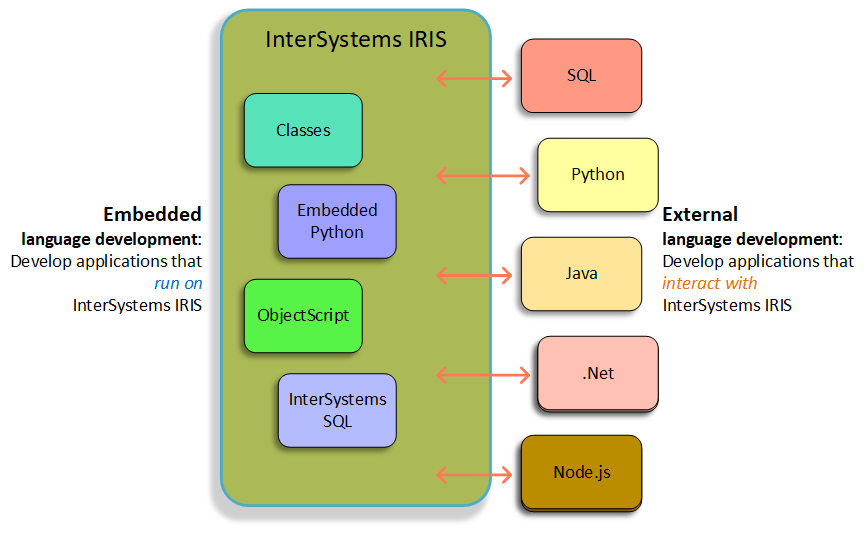 埋め込み開発アプリケーションは InterSystems IRIS 上で実行され、外部開発アプリケーションは InterSystems IRIS と対話します