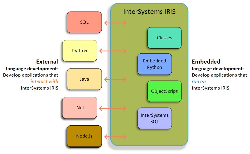 外部開発アプリケーションは InterSystems IRIS と対話し、埋め込み開発アプリケーションは InterSystems IRIS 上で実行されます